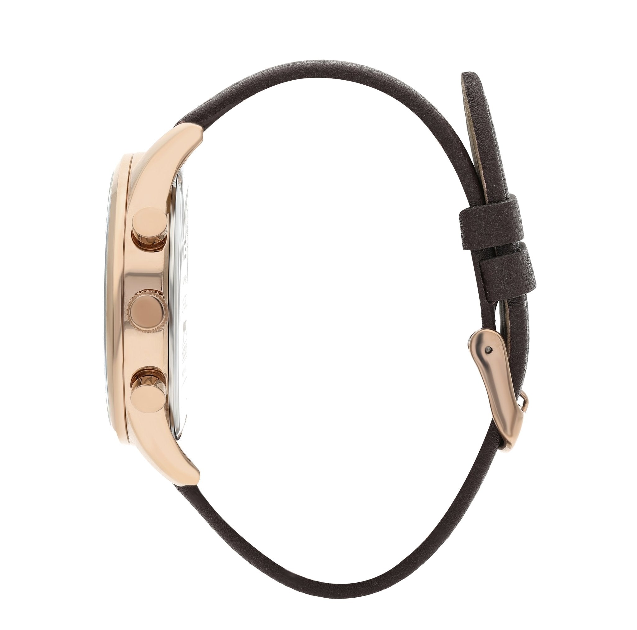 slazenger watches שעון יד שלזינגר דגם SL.09.6387.2.05