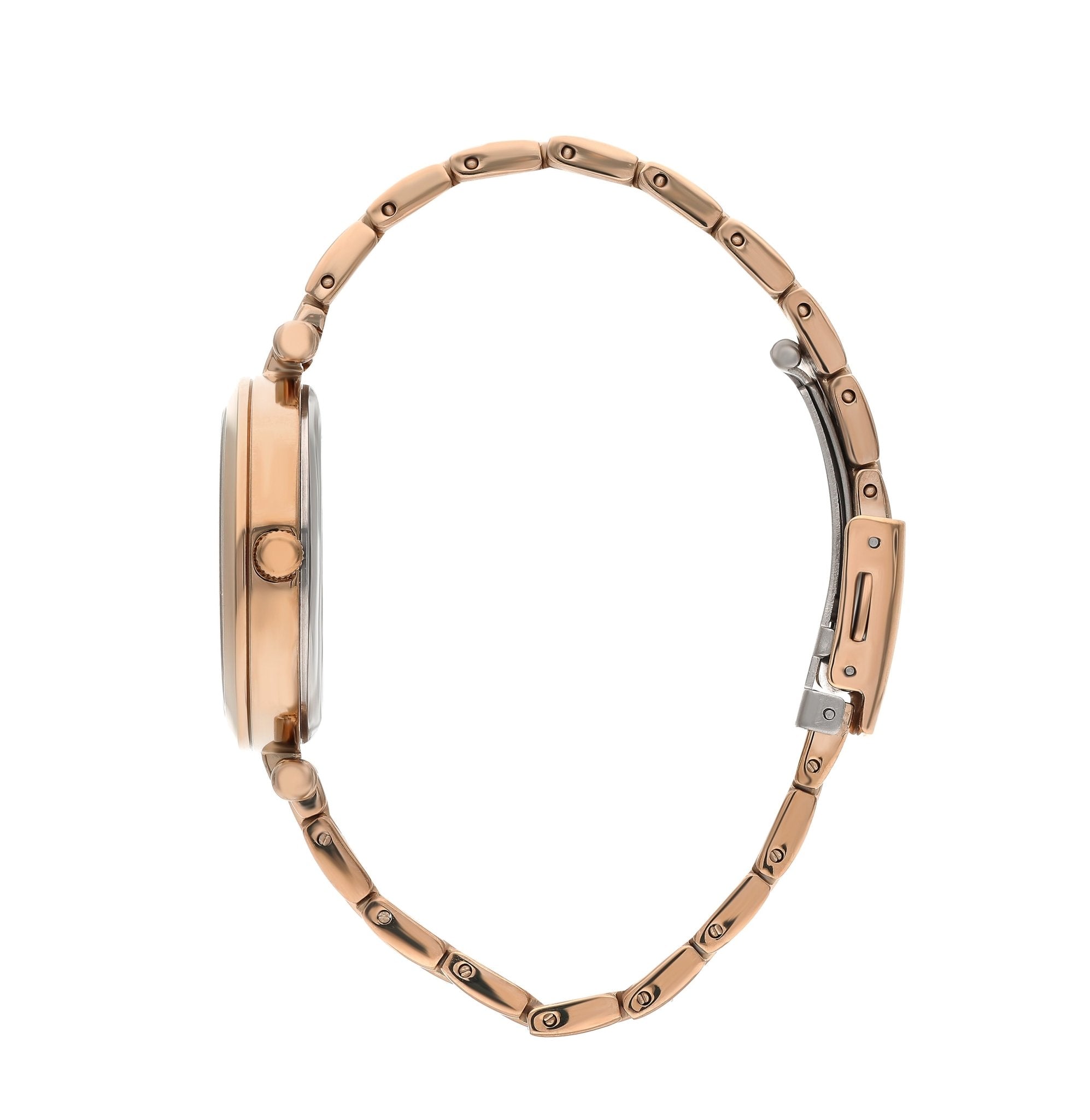 slazenger watches שעון יד שלזינגר דגם SL.09.6421.3.02