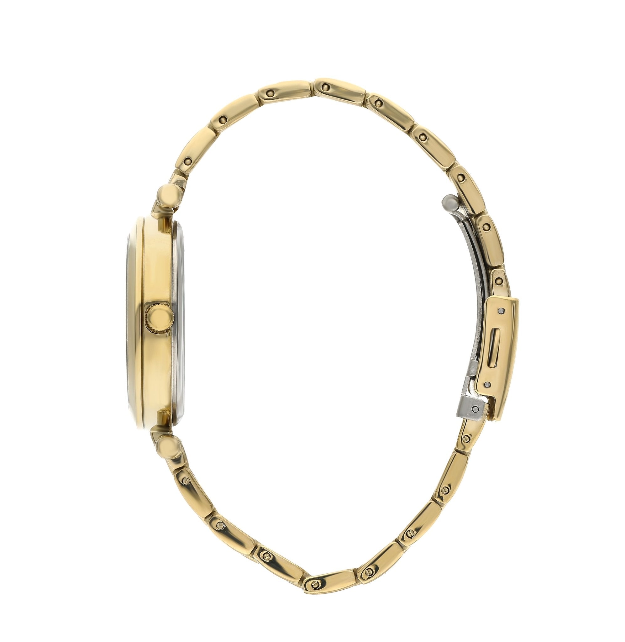 slazenger watches שעון יד שלזינגר דגם SL.09.6421.3.03