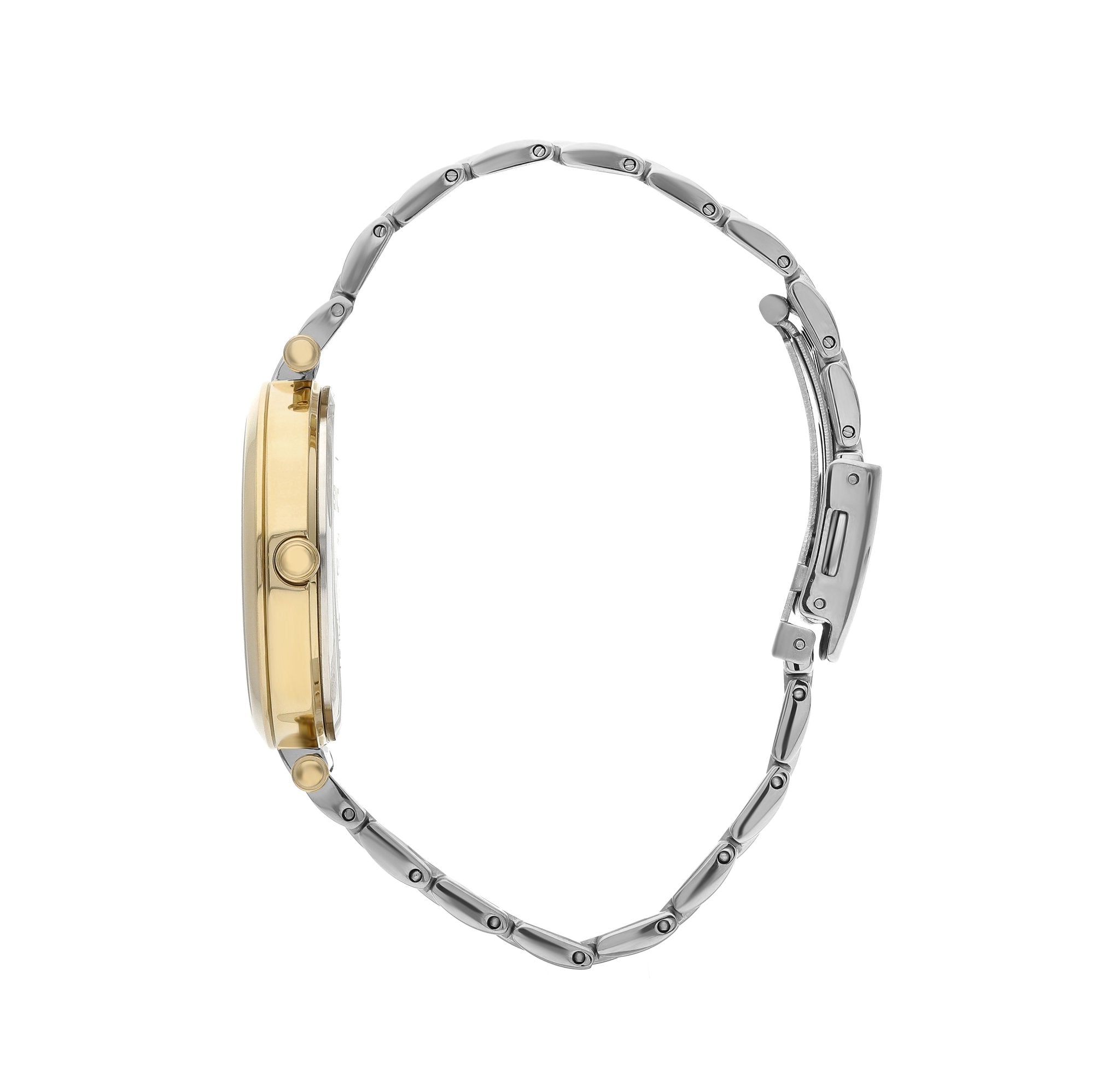 slazenger watches שעון יד שלזינגר דגם SL.09.6422.3.03